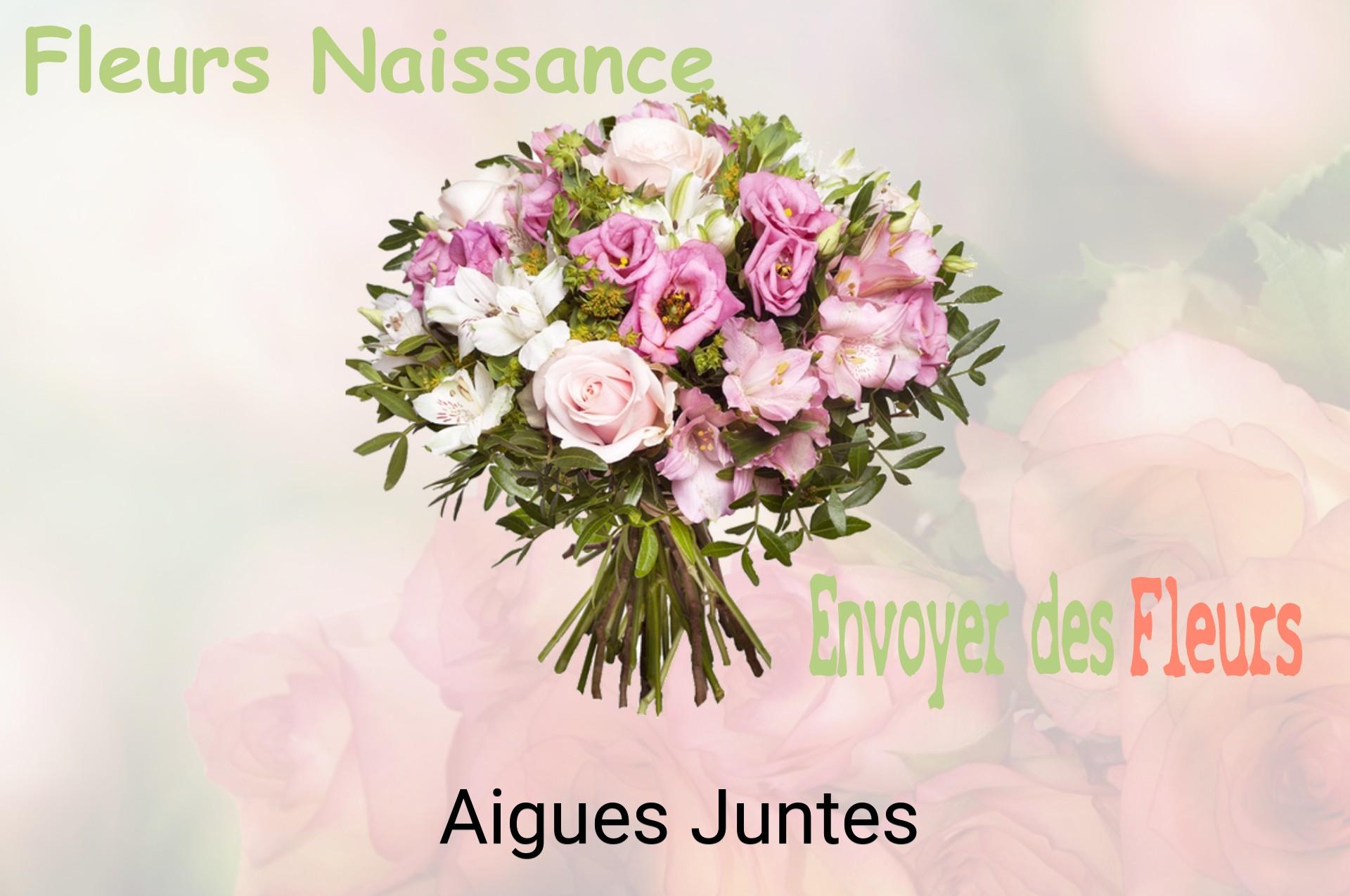 Bouquet de fleurs de naissance livré à Aigues-Juntes