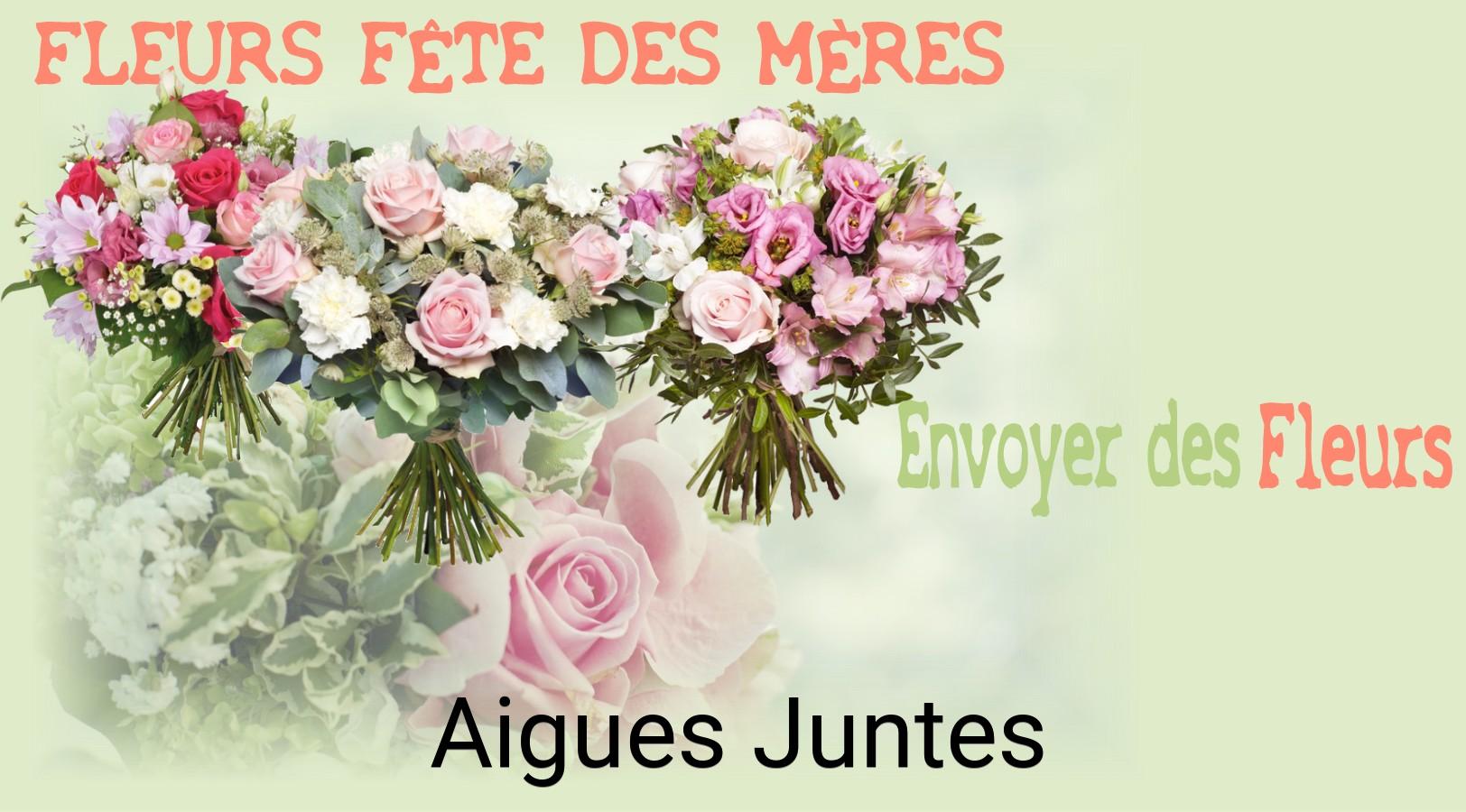 Bouquet de Fête des Mères livré à Aigues-Juntes