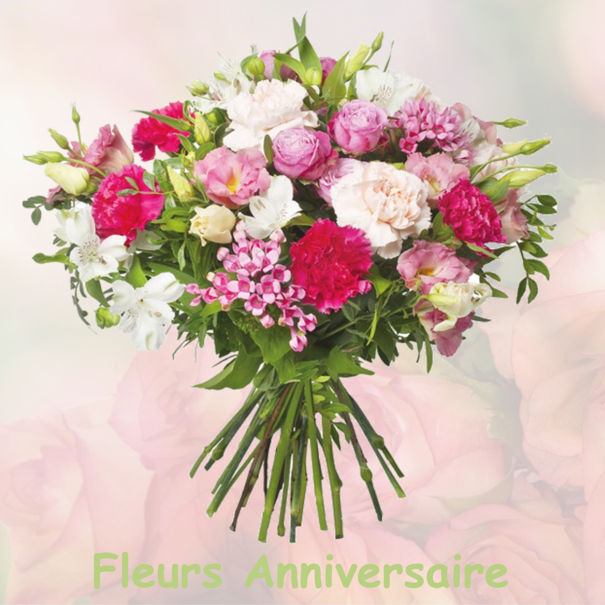 fleurs anniversaire AIGUES-JUNTES